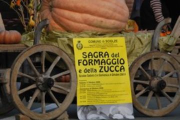 Sfoglia la galleria