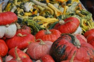 Mostra Mercato del Formaggio e della Zucca