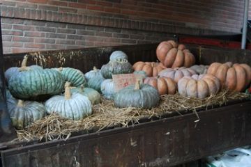 Mostra Mercato del Formaggio e della Zucca