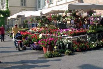 Sciolze in Fiore - Bancarelle