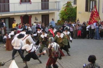 Gruppo Storico di Sciolze - Combattimento