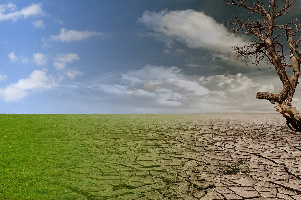 immagine di un paesaggio che da verde e rigoglioso si trasforma in un deserto