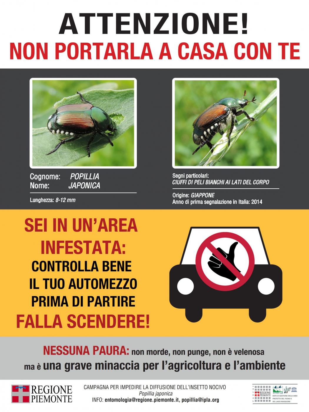 immagini della Popillia Japonica con scritto "Attenzione! Non portarla a casa con te"