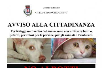 no botti, no petardi!