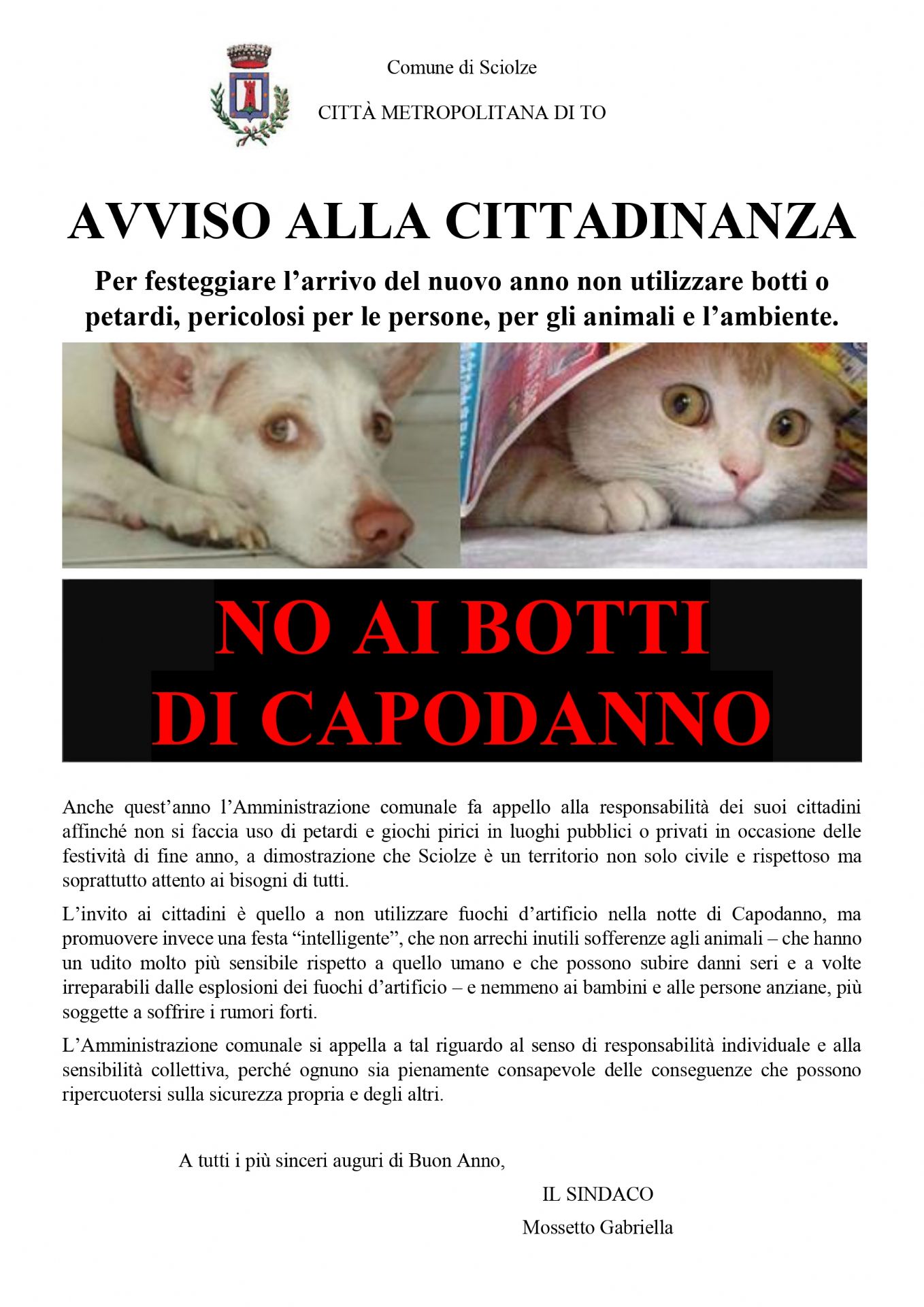 locandina che rappresenta un cane e un gatto spaventati con sopra scritto "avviso alla cittadinanza. Per festeggiare l'arrivo del nuovo anno non utilizzare botti o petardi, pericolosi per le persone, per gli animali e l'ambiente"
