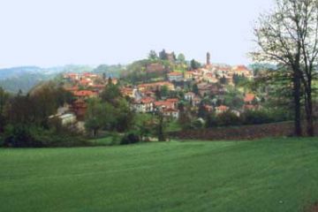 Sfoglia la galleria